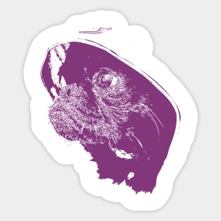 Purple dog face chihuahua Sticker